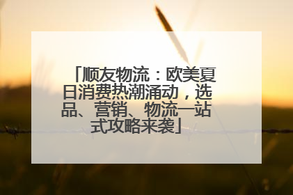 顺友物流：欧美夏日消费热潮涌动，选品、营销、物流一站式攻略来袭