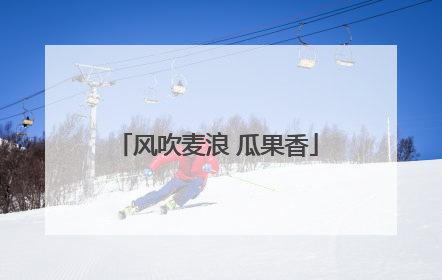 风吹麦浪 瓜果香