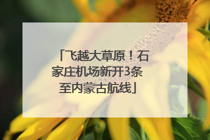 飞越大草原！石家庄机场新开3条至内蒙古航线