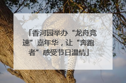 香河园举办“龙舟竞速”嘉年华，让“奔跑者”感受节日温情