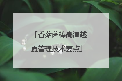 香菇菌棒高温越夏管理技术要点