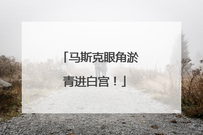 马斯克眼角淤青进白宫！