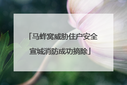 马蜂窝威胁住户安全 宣城消防成功摘除