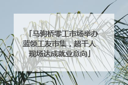 马驹桥零工市场举办蓝领工友市集，超千人现场达成就业意向