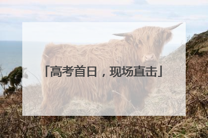 高考首日，现场直击