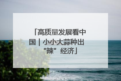 高质量发展看中国｜小小大蒜种出“辣”经济