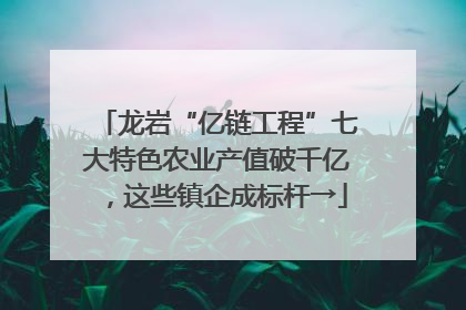 龙岩“亿链工程”七大特色农业产值破千亿，这些镇企成标杆→