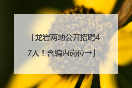 龙岩两地公开招聘47人！含编内岗位→