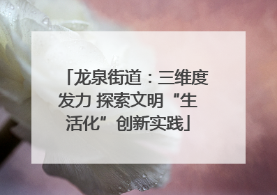 龙泉街道：三维度发力 探索文明“生活化”创新实践