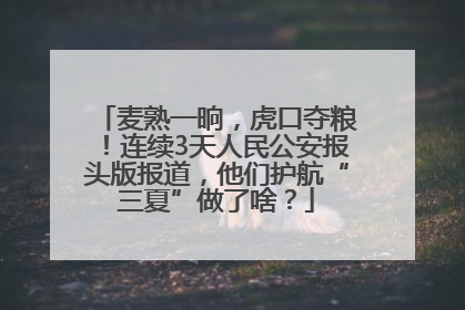麦熟一晌，虎口夺粮！连续3天人民公安报头版报道，他们护航“三夏”做了啥？