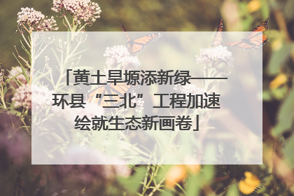 黄土旱塬添新绿——环县“三北”工程加速绘就生态新画卷