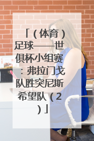 （体育）足球——世俱杯小组赛：弗拉门戈队胜突尼斯希望队（2）