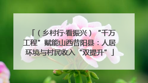 （乡村行·看振兴）“千万工程”赋能山西昔阳县：人居环境与村民收入“双提升”