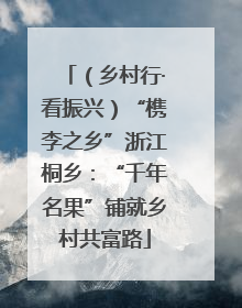 （乡村行·看振兴）“槜李之乡”浙江桐乡：“千年名果”铺就乡村共富路