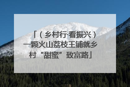 （乡村行·看振兴）一颗火山荔枝王铺就乡村“甜蜜”致富路