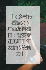 （乡村行·看振兴）广西龙脊梯田：背篓变迁见证千年农耕传统魅力