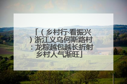 （乡村行·看振兴）浙江义乌何斯路村：龙粽越包越长折射乡村人气渐旺