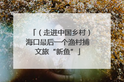 （走进中国乡村）海口最后一个渔村捕文旅“新鱼”