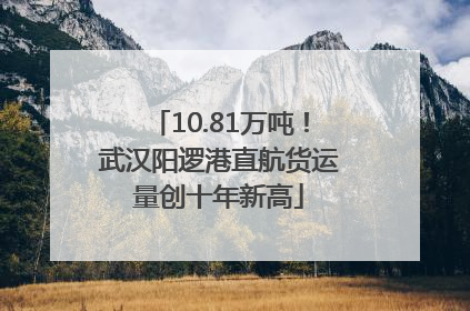 10.81万吨！武汉阳逻港直航货运量创十年新高