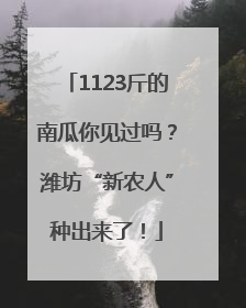 1123斤的南瓜你见过吗？潍坊“新农人”种出来了！