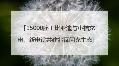 15000座！比亚迪与小桔充电、新电途共建兆瓦闪充生态