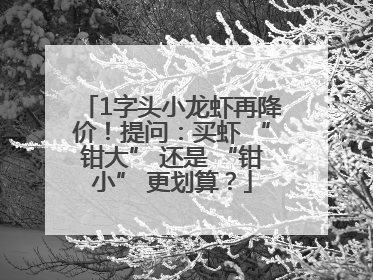 1字头小龙虾再降价！提问：买虾 “钳大” 还是 “钳小” 更划算？