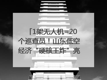 1架无人机=20个巡查员！山东低空经济“硬核王炸”亮相青岛，下一个万亿赛道藏在这里