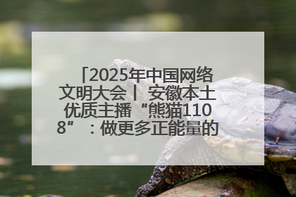 2025年中国网络文明大会丨 安徽本土优质主播“熊猫1108”：做更多正能量的事情 带给大家快乐