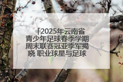 2025年云南省青少年足球春季学期周末联赛冠亚季军揭晓 职业球星与足球小将共享荣耀时刻