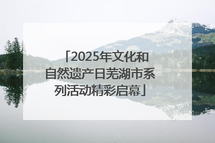 2025年文化和自然遗产日芜湖市系列活动精彩启幕