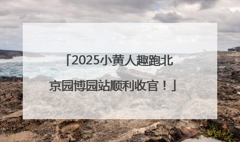 2025小黄人趣跑北京园博园站顺利收官！