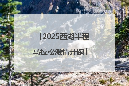2025西湖半程马拉松激情开跑
