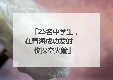 25名中学生，在青海成功发射一枚探空火箭