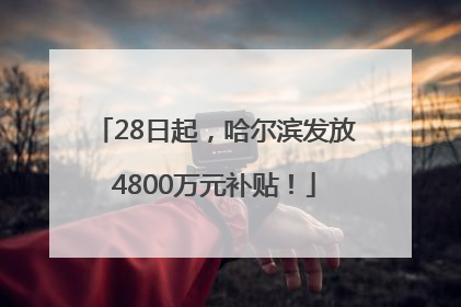 28日起，哈尔滨发放4800万元补贴！