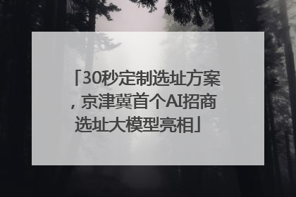 30秒定制选址方案，京津冀首个AI招商选址大模型亮相