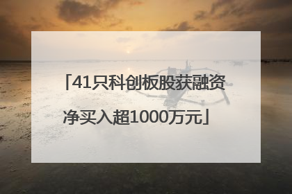 41只科创板股获融资净买入超1000万元