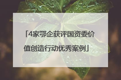 4家鄂企获评国资委价值创造行动优秀案例