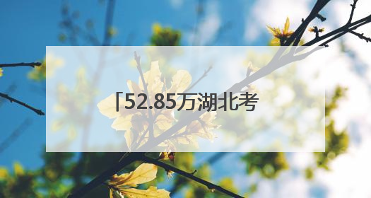 52.85万湖北考生顺利结束高考 从人生一战奔赴下一站
