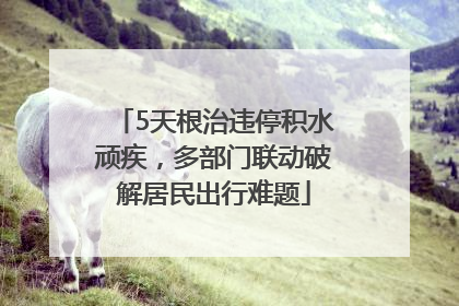 5天根治违停积水顽疾，多部门联动破解居民出行难题
