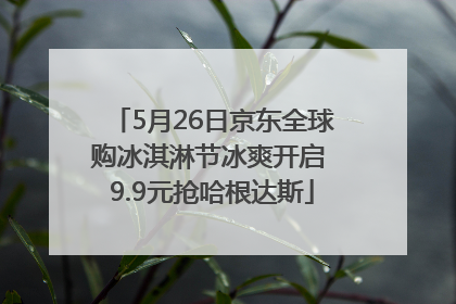 5月26日京东全球购冰淇淋节冰爽开启 9.9元抢哈根达斯