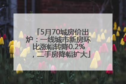 5月70城房价出炉：一线城市新房环比涨幅转降0.2%，二手房降幅扩大