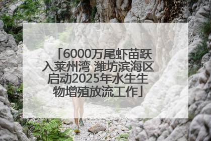 6000万尾虾苗跃入莱州湾 潍坊滨海区启动2025年水生生物增殖放流工作