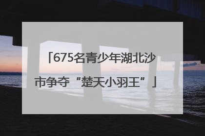 675名青少年湖北沙市争夺“楚天小羽王”