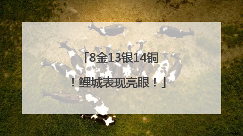 8金13银14铜！鲤城表现亮眼！