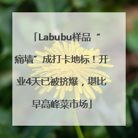 Labubu样品“痛墙”成打卡地标！开业4天已被挤爆，堪比早高峰菜市场