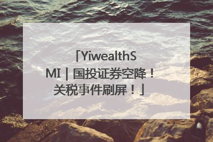 YiwealthSMI｜国投证券空降！关税事件刷屏！
